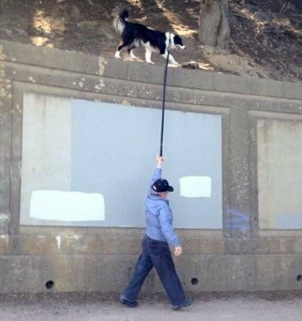 daily picdump 40 pics 9.html - 40 HD Photos | Premium Gallery 2026