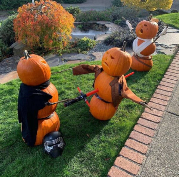 peak nerd energy 47 pics 21.html - 47 HD Photos | Premium Gallery 2026