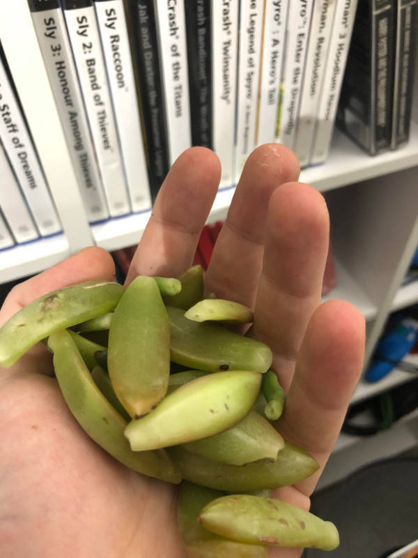 When Everything Goes Wrong at Once