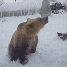 daily gifdump 43 gifs 3.html - 1 HD GIF | Premium Gallery 2026