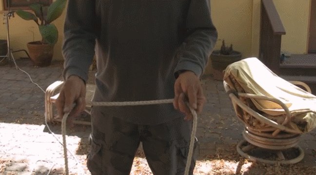 daily gifdump 43 gifs 3.html - 1 HD GIF | Premium Gallery 2026