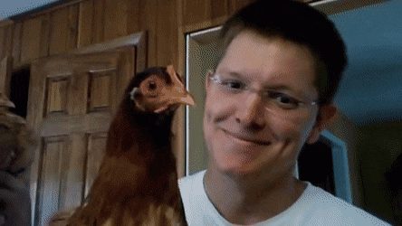 daily gifdump 43 gifs 3.html - 1 HD GIF | Premium Gallery 2026