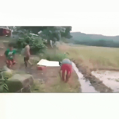 daily gifdump 43 gifs 3.html - 1 HD GIF | Premium Gallery 2026