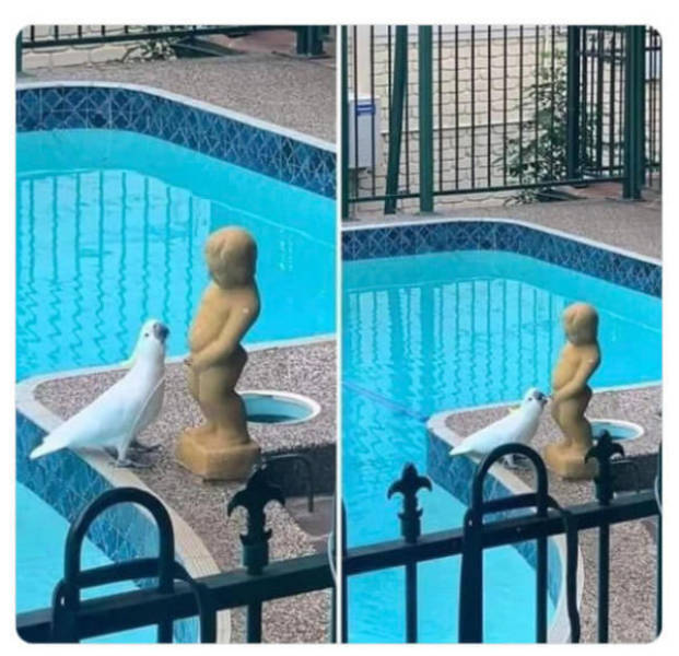 Being Weird Is A Superpower!