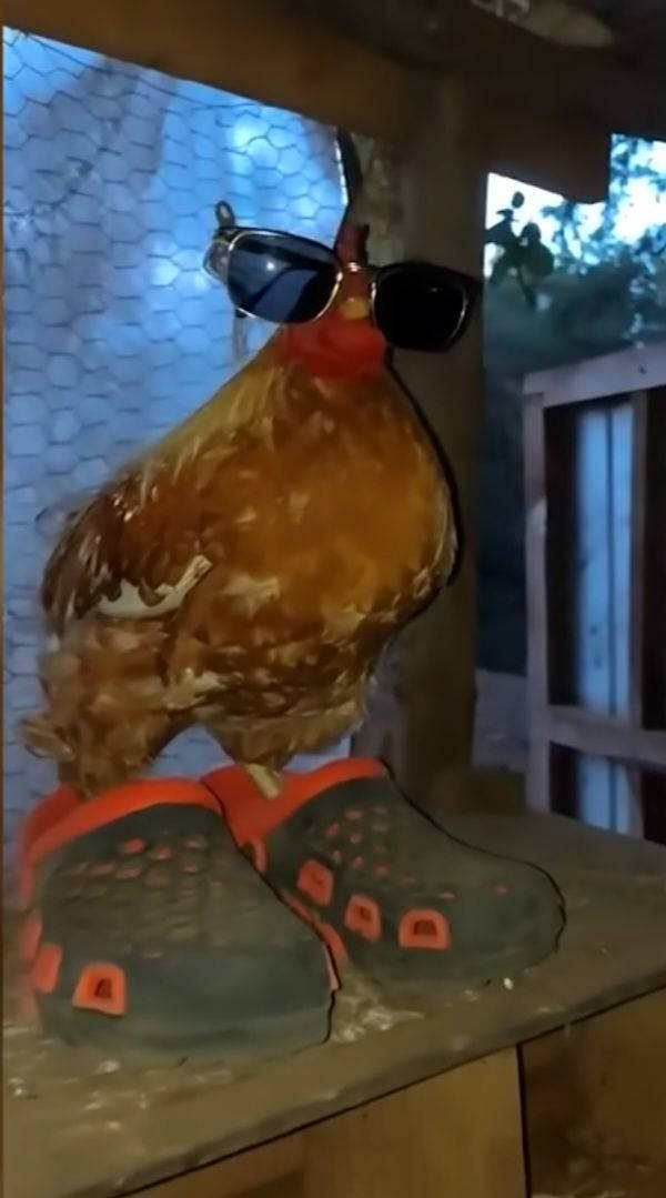 being weird is a superpower 30 pics 12.html - 30 HD Photos | Premium Gallery 2026