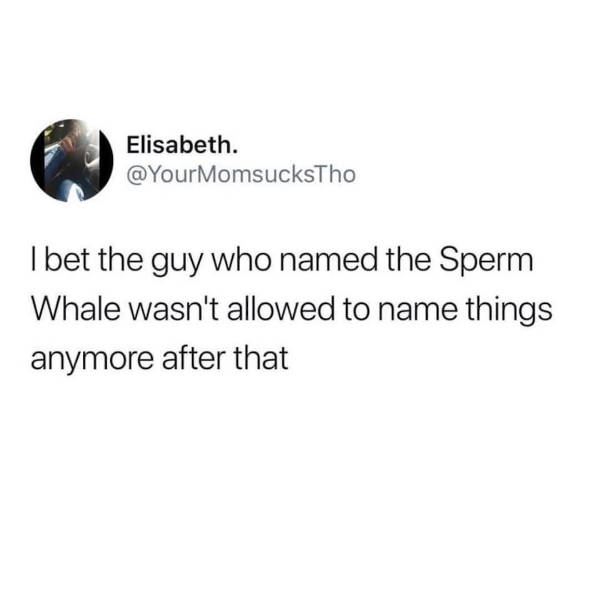 certified dank memes you need right now 38 pics 2.html - 38 HD Photos | Premium Gallery 2026