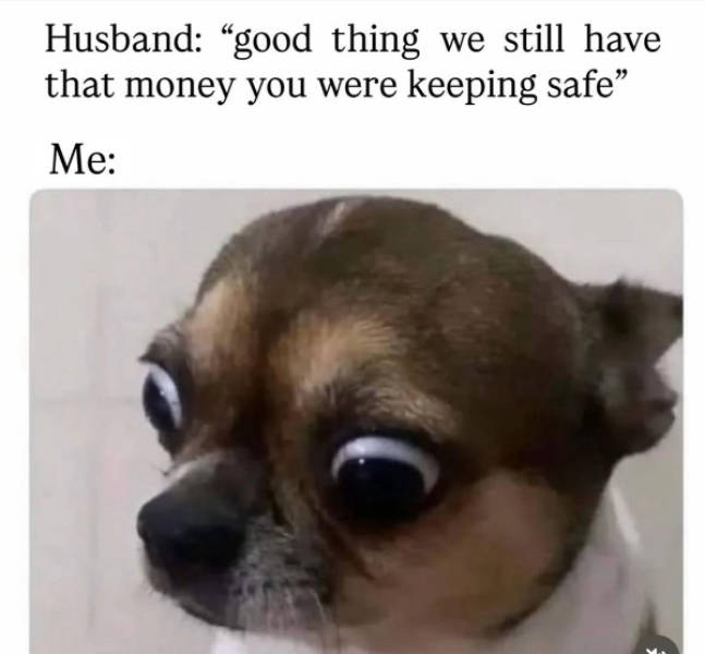 certified dank memes you need right now 38 pics 2.html - 38 HD Photos | Premium Gallery 2026