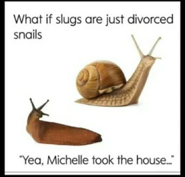 certified dank memes you need right now 38 pics 2.html - 38 HD Photos | Premium Gallery 2026