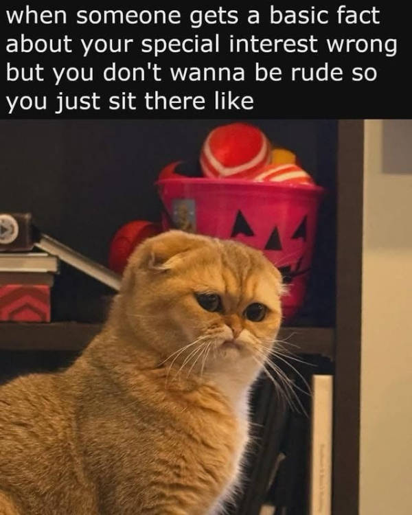 Certified Dank Memes You Need Right Now