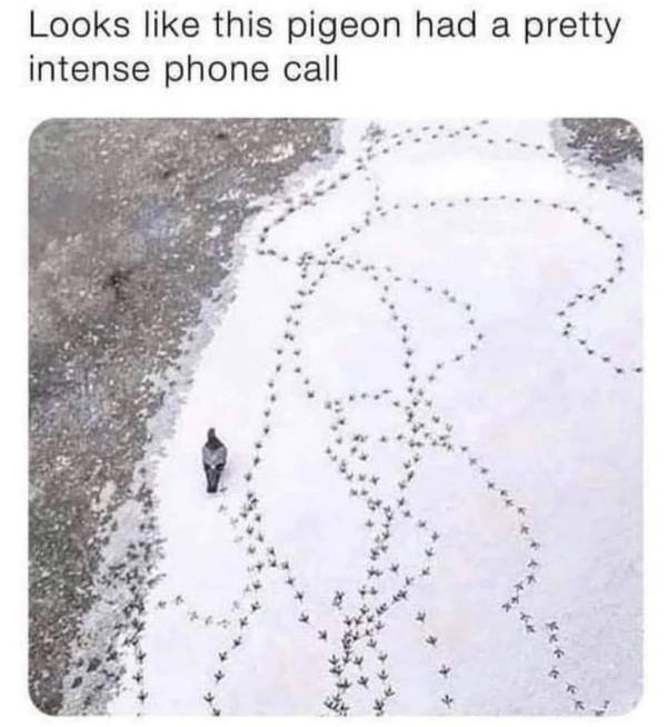 certified dank memes you need right now 38 pics 2.html - 38 HD Photos | Premium Gallery 2026