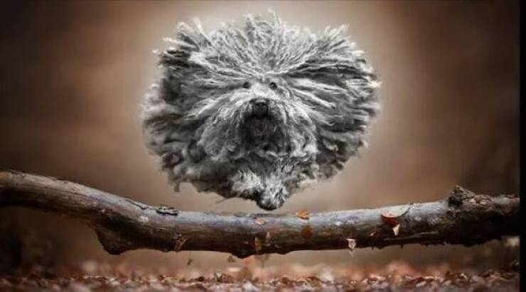 daily picdump 49 pics 17.html - 49 HD Photos | Premium Gallery 2026