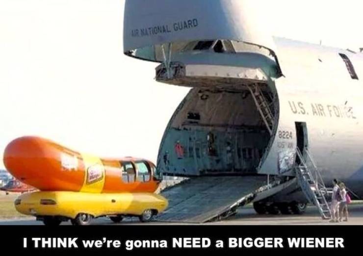 daily picdump 49 pics 17.html - 49 HD Photos | Premium Gallery 2026