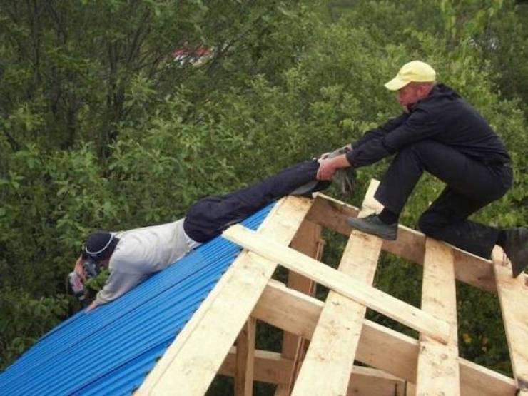 daily picdump 49 pics 17.html - 49 HD Photos | Premium Gallery 2026