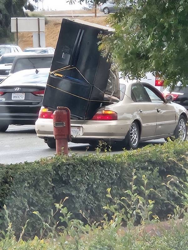 daily picdump 49 pics 17.html - 49 HD Photos | Premium Gallery 2026