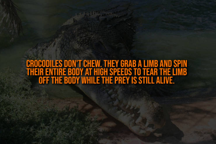 These Creepy Facts Will Haunt You