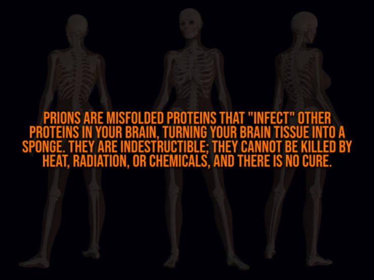 These Creepy Facts Will Haunt You