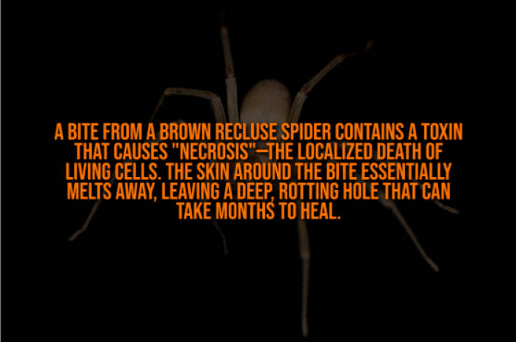 These Creepy Facts Will Haunt You