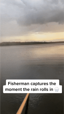 daily gifdump 41 gifs 6.html - 1 HD GIF | Premium Gallery 2026