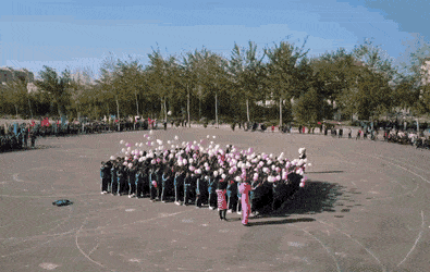 daily gifdump 41 gifs 6.html - 1 HD GIF | Premium Gallery 2026