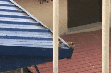 daily gifdump 41 gifs 6.html - 1 HD GIF | Premium Gallery 2026