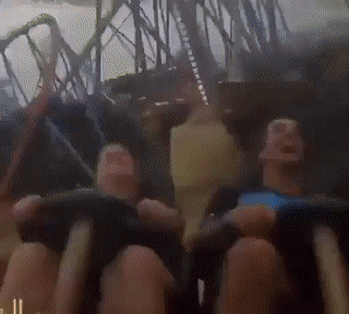 daily gifdump 41 gifs 6.html - 1 HD GIF | Premium Gallery 2026