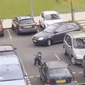 daily gifdump 41 gifs 6.html - 1 HD GIF | Premium Gallery 2026