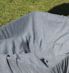 daily gifdump 41 gifs 6.html - 1 HD GIF | Premium Gallery 2026