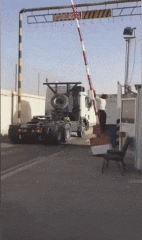 daily gifdump 41 gifs 6.html - 1 HD GIF | Premium Gallery 2026