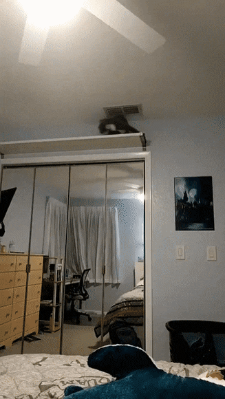 daily gifdump 41 gifs 6.html - 1 HD GIF | Premium Gallery 2026