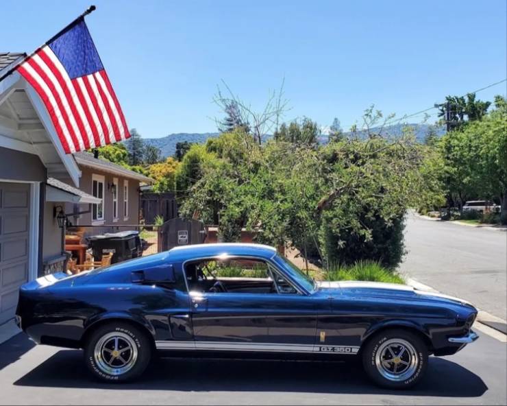 built to roar legendary muscle cars 88 pics 5.html - 88 HD Photos | Premium Gallery 2026