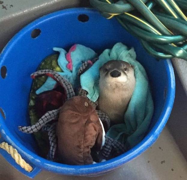 daily picdump 43 pics 17.html - 43 HD Photos | Premium Gallery 2026