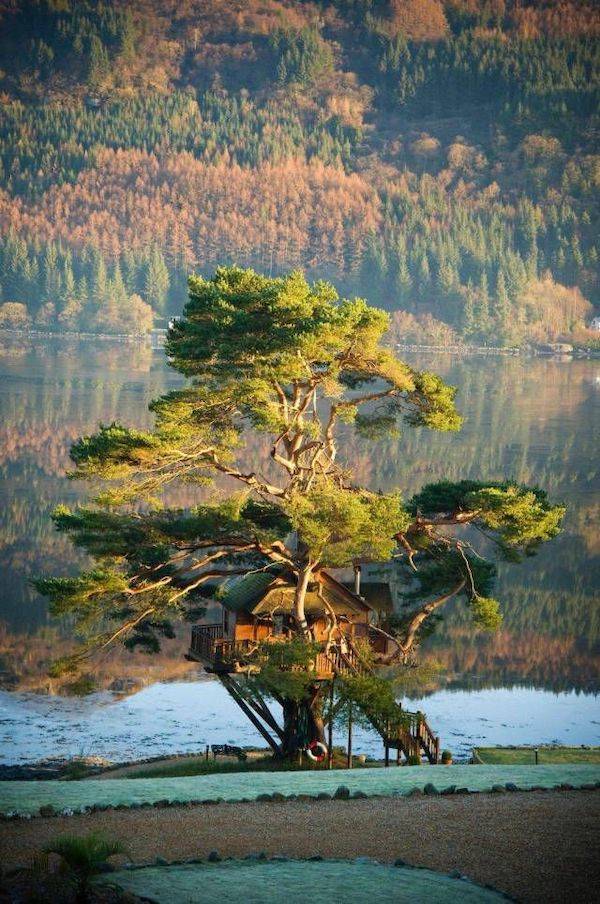 daily picdump 43 pics 17.html - 43 HD Photos | Premium Gallery 2026