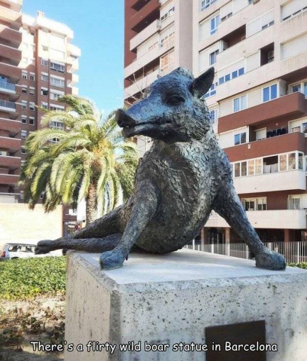 daily picdump 43 pics 17.html - 43 HD Photos | Premium Gallery 2026