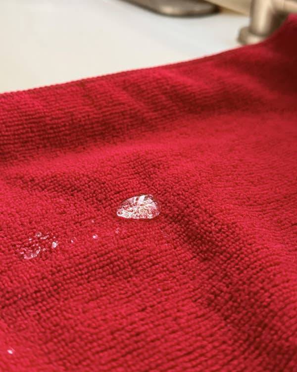 Images So Rare They Feel Unreal