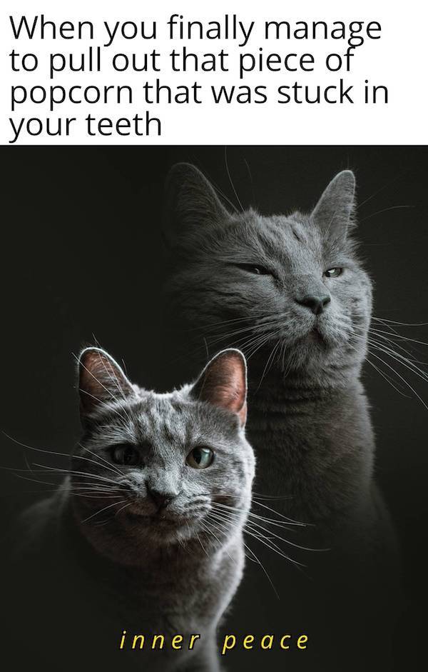 NSFW Memes To Add Some Spice To Your Life