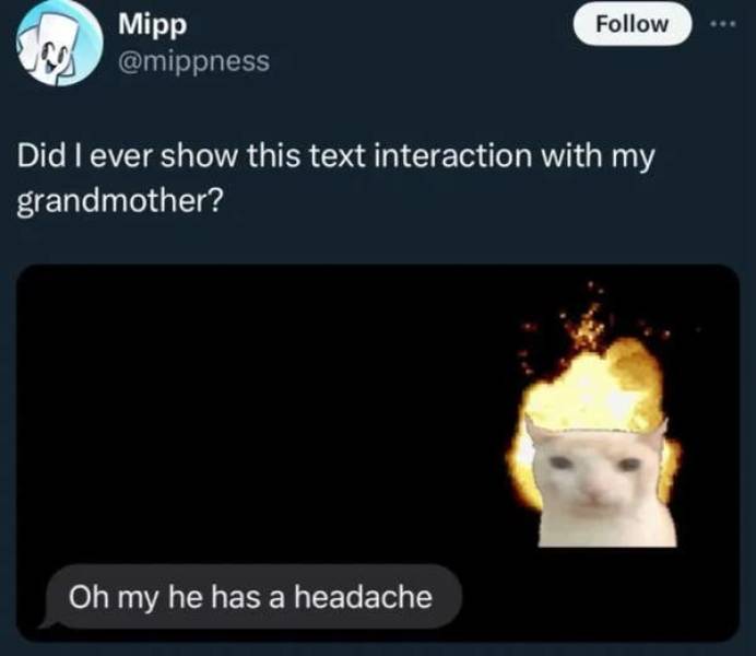 These Pics Are Comedy Gold