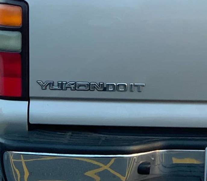 these pics are comedy gold 45 pics 21.html - 45 HD Photos | Premium Gallery 2026