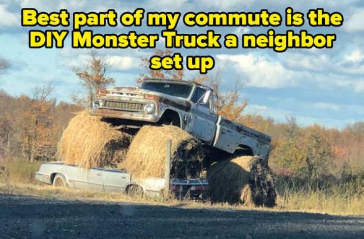 these pics are comedy gold 45 pics 21.html - 45 HD Photos | Premium Gallery 2026