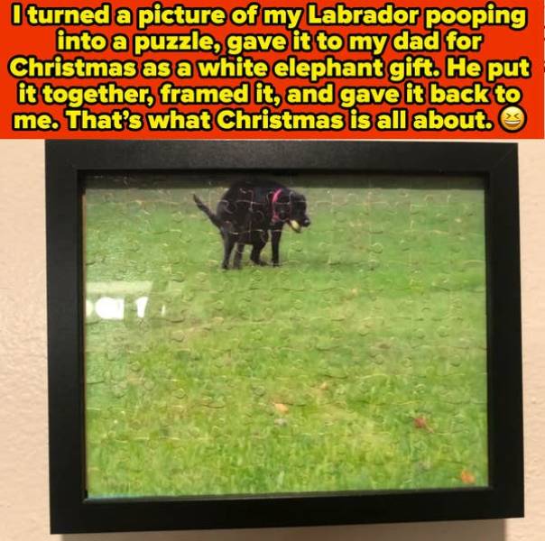 these pics are comedy gold 45 pics 21.html - 45 HD Photos | Premium Gallery 2026