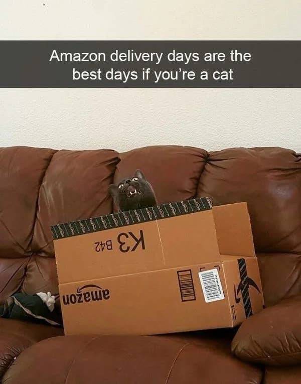 these pics are comedy gold 45 pics 21.html - 45 HD Photos | Premium Gallery 2026