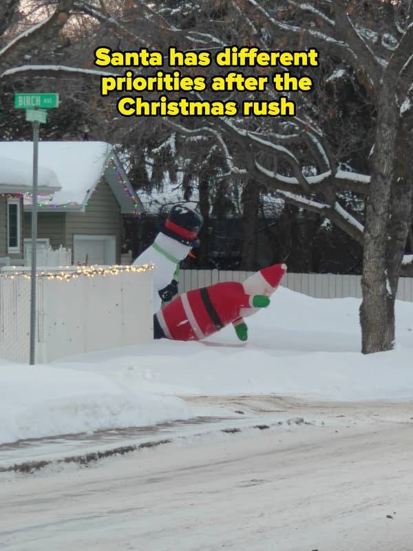 these pics are comedy gold 45 pics 21.html - 45 HD Photos | Premium Gallery 2026