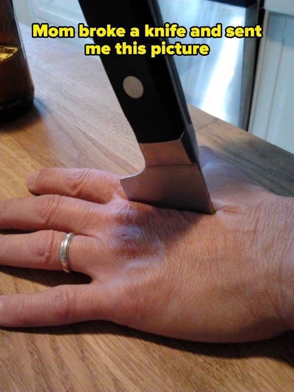 these pics are comedy gold 45 pics 21.html - 45 HD Photos | Premium Gallery 2026