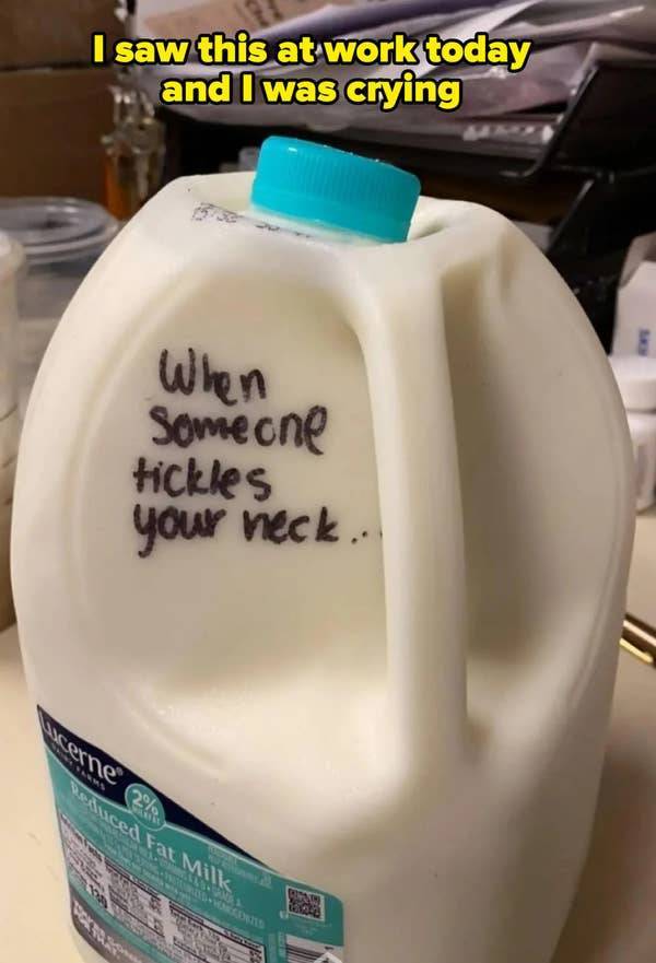 these pics are comedy gold 45 pics 21.html - 45 HD Photos | Premium Gallery 2026