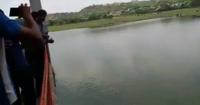 daily gifdump 47 gifs 6.html - 1 HD GIF | Premium Gallery 2026