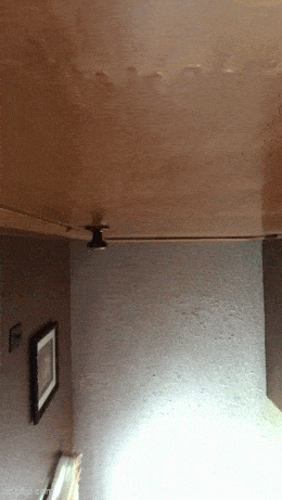 daily gifdump 47 gifs 6.html - 1 HD GIF | Premium Gallery 2026