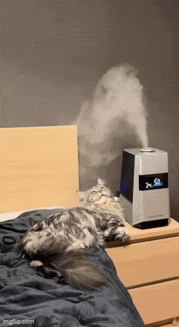 daily gifdump 47 gifs 6.html - 1 HD GIF | Premium Gallery 2026