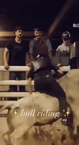 daily gifdump 47 gifs 6.html - 1 HD GIF | Premium Gallery 2026