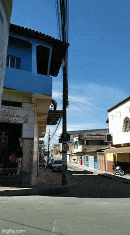 daily gifdump 47 gifs 6.html - 1 HD GIF | Premium Gallery 2026