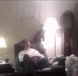 daily gifdump 47 gifs 6.html - 1 HD GIF | Premium Gallery 2026