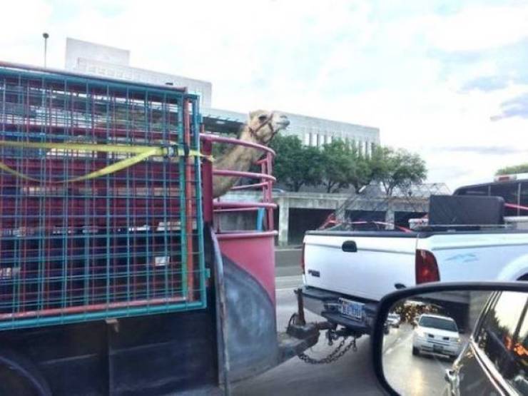 daily picdump 42 pics 21.html - 42 HD Photos | Premium Gallery 2026